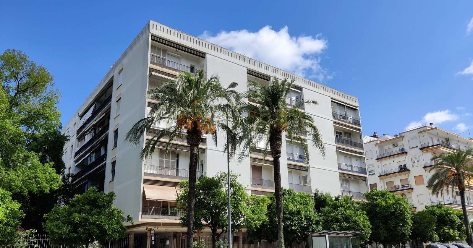 Bloque de viviendas blanco con palmeras delante y cielo azul